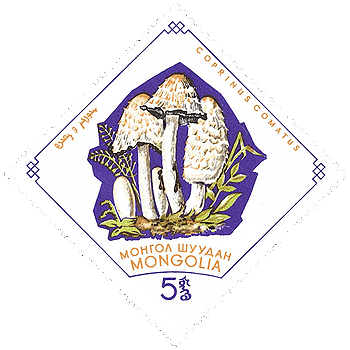 Briefmarke