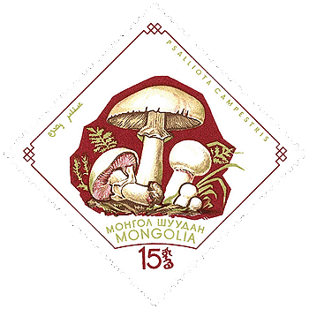 Briefmarke