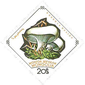 Briefmarke