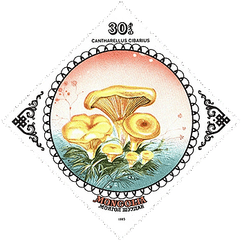 Briefmarke