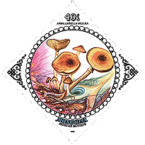 Briefmarke