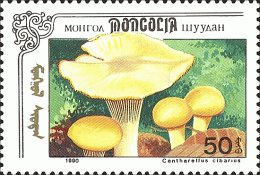 Briefmarke
