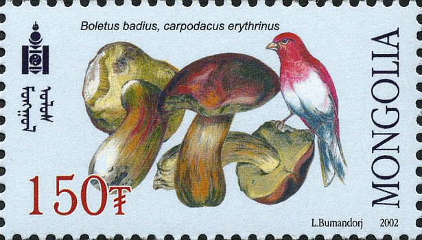 Briefmarke
