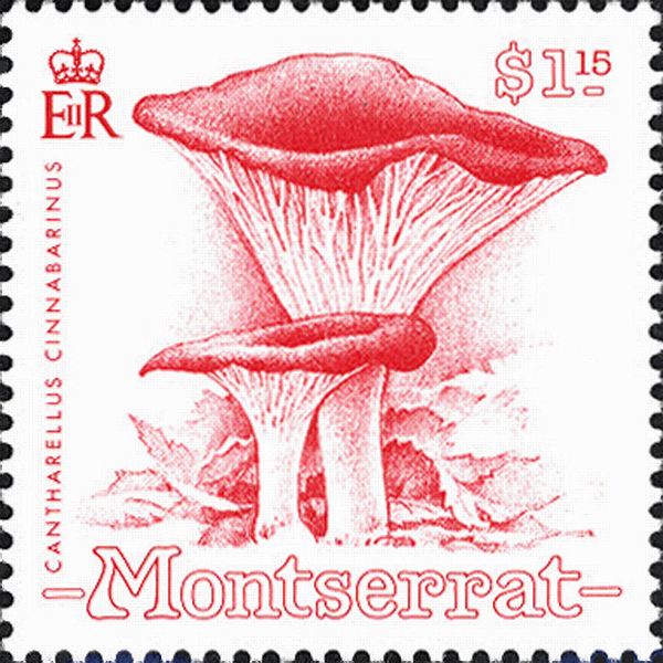 Briefmarke