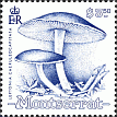 Briefmarke