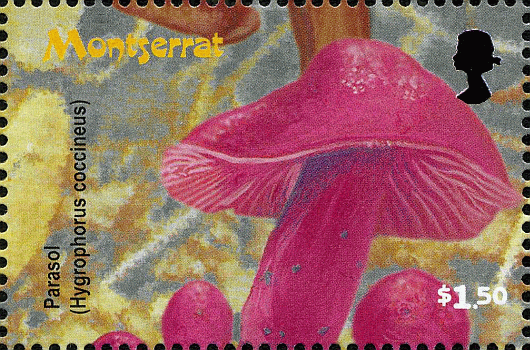 Briefmarke