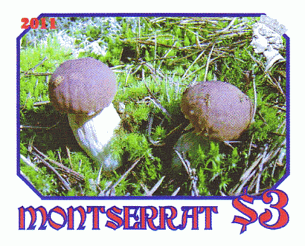 Briefmarke