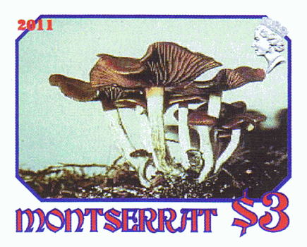 Briefmarke