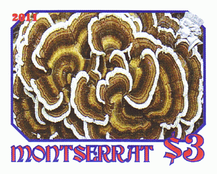 Briefmarke