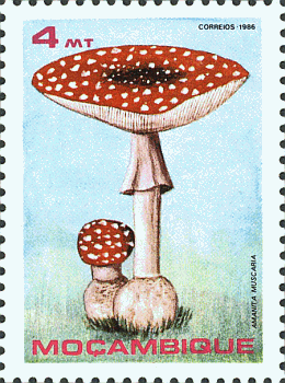 Briefmarke