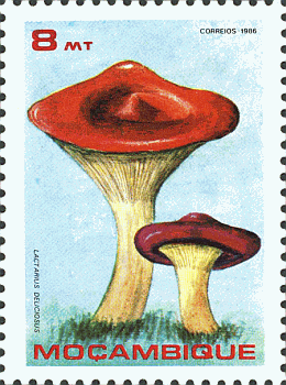 Briefmarke