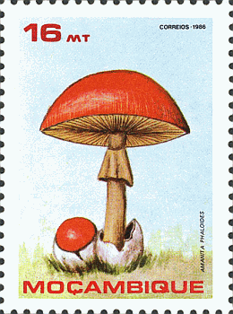 Briefmarke