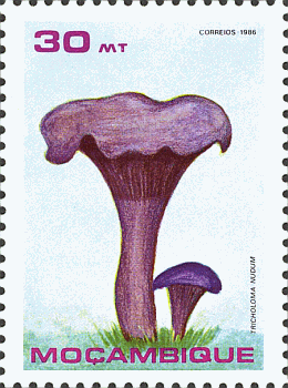 Briefmarke