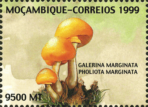 Briefmarke