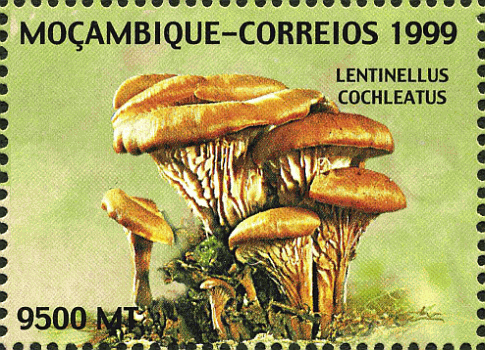 Briefmarke