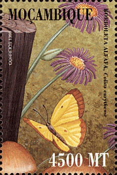 Briefmarke