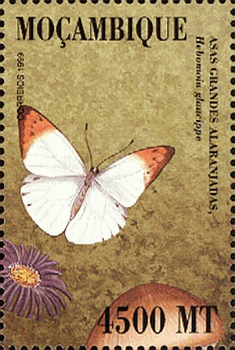 Briefmarke