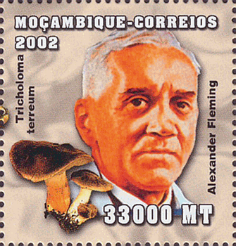 Briefmarke