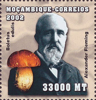 Briefmarke