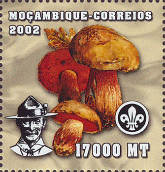 Briefmarke