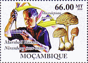 Briefmarke