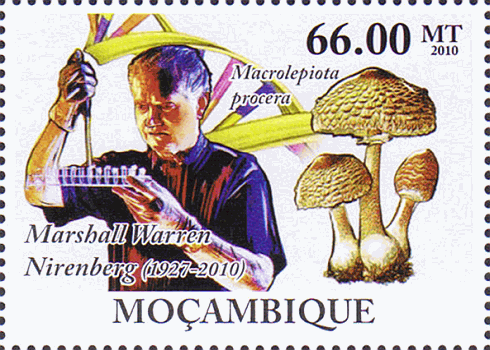 Briefmarke