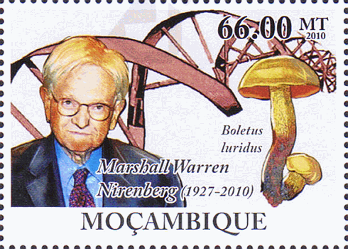 Briefmarke