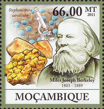 Briefmarke