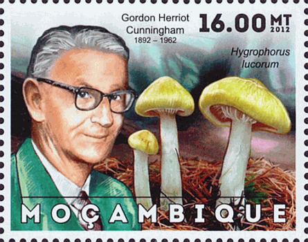 Briefmarke