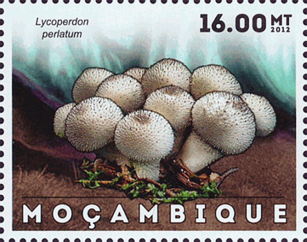 Briefmarke