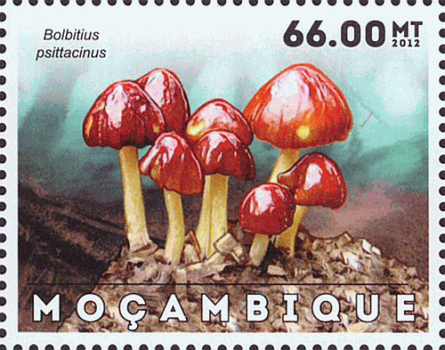 Briefmarke