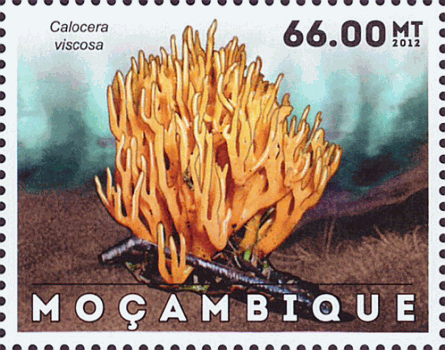 Briefmarke