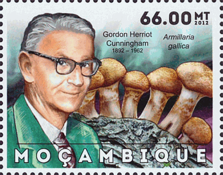 Briefmarke