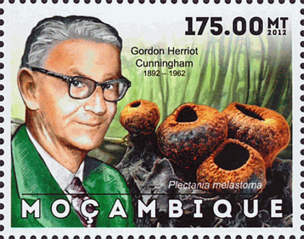Briefmarke