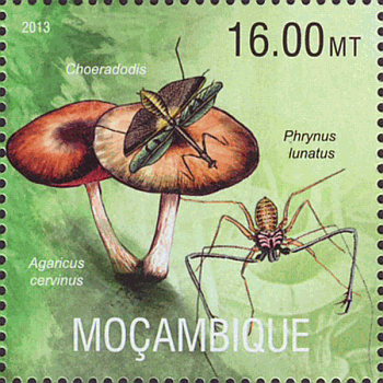 Briefmarke