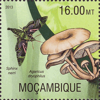 Briefmarke