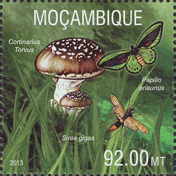 Briefmarke