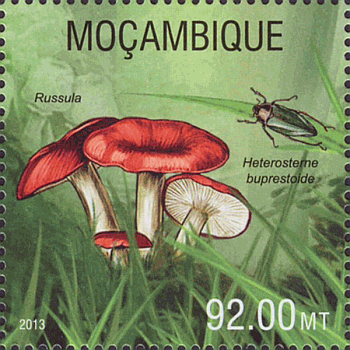 Briefmarke