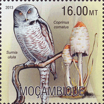 Briefmarke