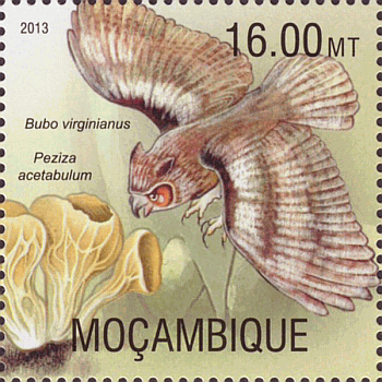 Briefmarke