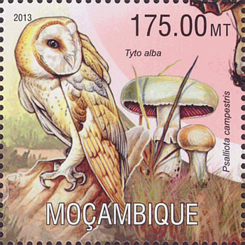 Briefmarke