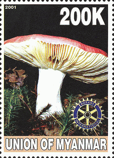 Briefmarke