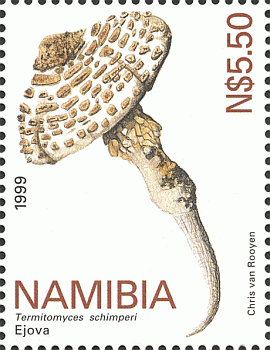 Briefmarke
