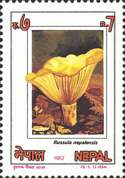 Briefmarke