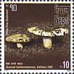 Briefmarke