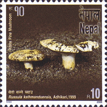 Briefmarke