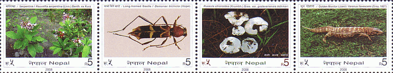Zusammendruck