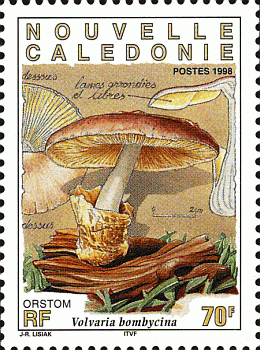 Briefmarke