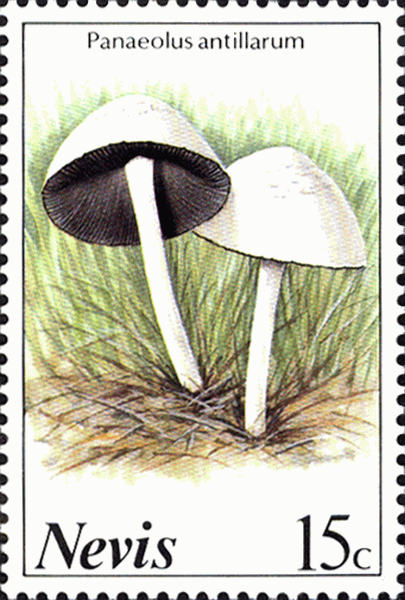 Briefmarke
