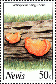 Briefmarke
